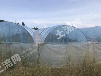 乐东黎族自治县佛罗镇29亩其它土地-沙地使用权出租