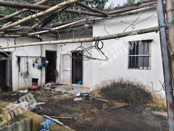 揭阳揭东区 42亩 果园 经营权转让