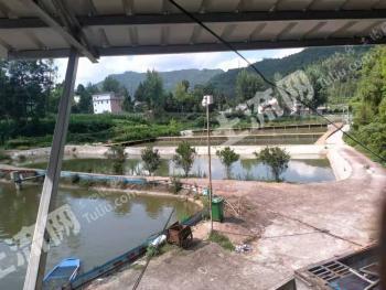 南充仪陇县 48.22亩 坑塘水面 经营权出租