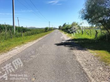 赤峰翁牛特旗 479.87亩 其它草地 使用权出租