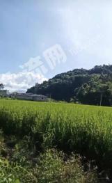 德宏瑞丽市 27.95亩 水田 经营权出租