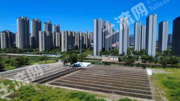 杭州钱塘区226.98亩耕地-旱地经营权出租