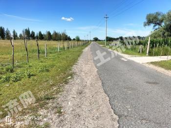 赤峰翁牛特旗 550亩 其它草地 使用权出租