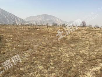 定西临洮县 60.79亩 水浇地 经营权出租