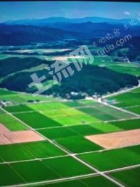 乌兰察布察哈尔右翼前旗 680亩 其它林地 经营权出租