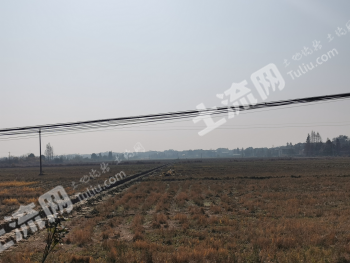 益阳桃江县 200亩 水田 经营权出租