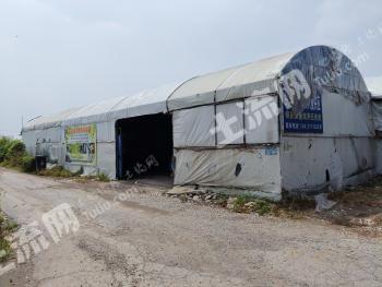 上海嘉定区 14.8亩 果园 经营权转让