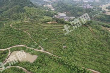 杭州富阳区81.56亩旱地经营权出租