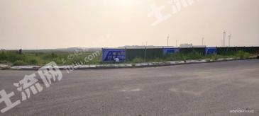 枣庄山亭区 1000亩 果园 经营权转让