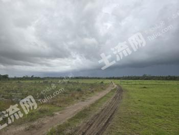海南 文昌市 240亩 旱地 经营权出租