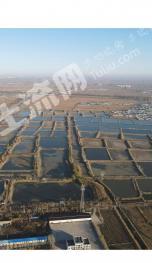 盘锦大洼区 125.16亩 水田 经营权出租