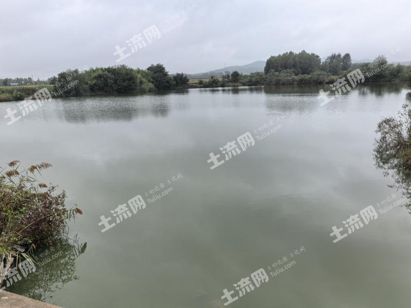 威海文登区 40亩 水库水面 经营权出租