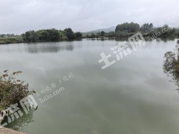威海文登区 40亩 水库水面 经营权出租