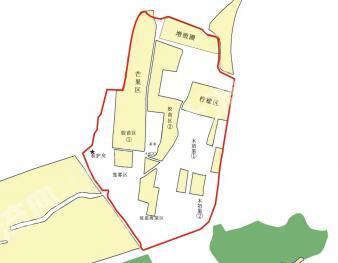 海南澄迈县 94.02亩 其它林地 经营权合作