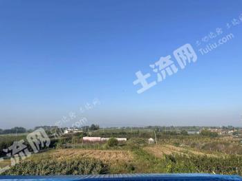 青岛莱西市 101.4亩 灌木林地 经营权出租