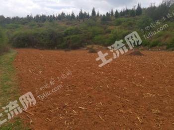昆明盘龙区 210亩 旱地 经营权出租
