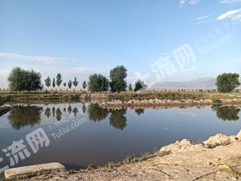 石嘴山平罗县 60亩 坑塘水面 经营权出租