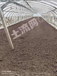 曲靖沾益区 66亩 旱地 经营权转包