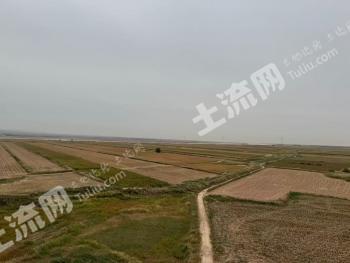 巴彦淖尔磴口县 4000亩 水浇地 经营权出租