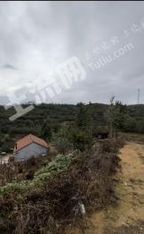 烟台栖霞市 15亩 旱地 经营权出租