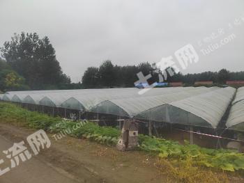 宿迁沭阳县 6亩 果园 经营权出租