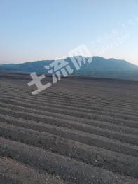 双鸭山饶河县 630亩 旱地 经营权转让