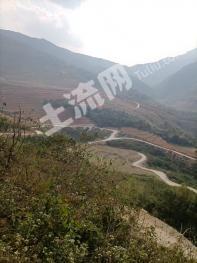 玉溪新平彝族傣族自治县 325亩 水浇地 经营权转包