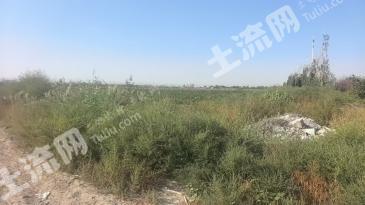 乌鲁木齐新市区 848亩 水浇地 经营权出租