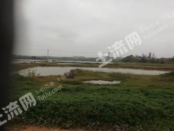 海南文昌市 101.48亩 其它林地 经营权转让