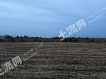 连云港赣榆区 14.37亩 农场 使用权出租