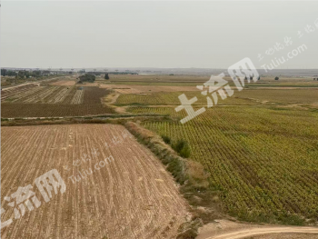 巴彦淖尔磴口县 4000亩 水浇地 经营权出租