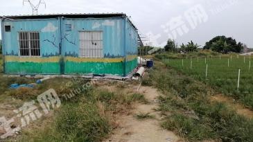 广州增城区 9.2亩 水浇地 经营权转让