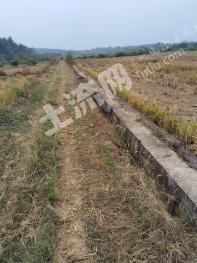 永州东安县 162亩 水田 经营权出租