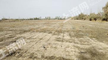 巴音郭楞焉耆回族自治县 1360亩 水浇地 经营权出租