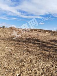 通辽科尔沁左翼后旗 1760亩 其它林地 经营权转让