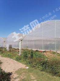 楚雄姚安县 57亩 水浇地 经营权出租