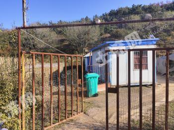 青岛黄岛区 3.7亩 水浇地 经营权转包