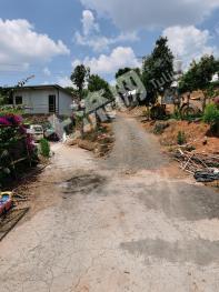 昆明宜良县 9.5亩 农场 使用权出租