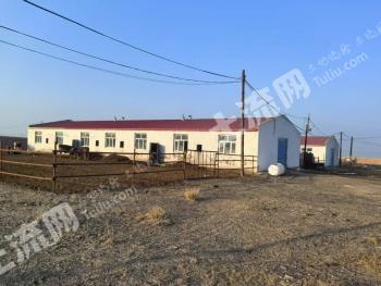 乌鲁木齐乌鲁木齐县 50.88亩 农场 使用权转让