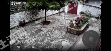 湛江徐闻县 294.2平方米 城镇住宅用地 使用权转让