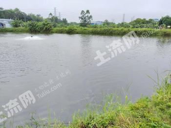 常德鼎城区 2300亩 坑塘水面 经营权出租