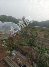 嘉兴海宁市 15亩 其它林地 经营权转让