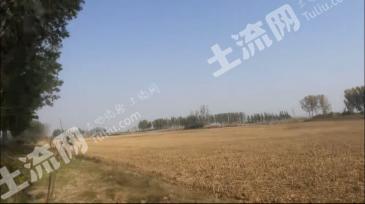 郑州金水区 100.65亩 水浇地 经营权出租