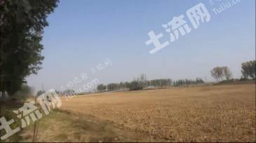 郑州金水区 124.45亩 水浇地 经营权出租