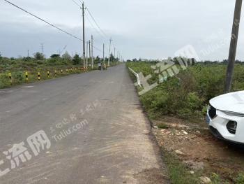 海口龙华区 35.89亩 其它林地 经营权转让