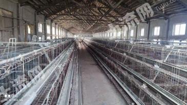 青岛平度市11亩设施农用地经营权转让