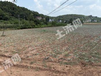 德阳中江县 210亩 旱地 经营权出租