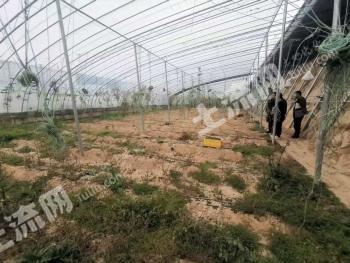 中卫沙坡头区 10000亩 旱地 经营权出租