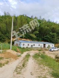 六安霍山县 260亩 其它林地 经营权转让