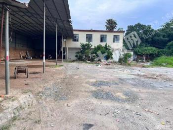 湛江坡头区 2400平方米 厂房 使用权出租